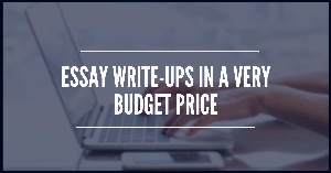 Essay write-ups in a very budget price.jpg